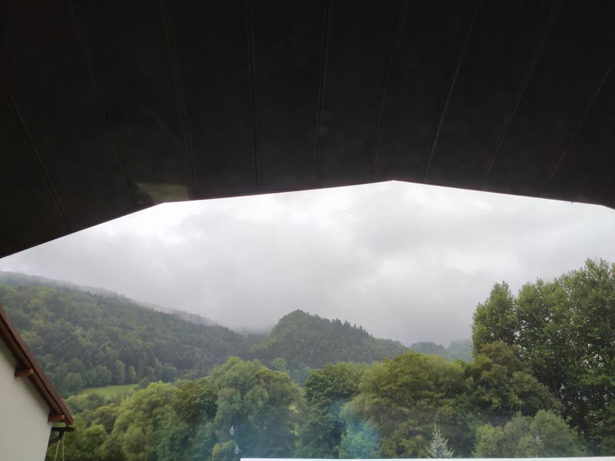 Vila Sielanka Pieninska Krościenko Exteriér fotografie